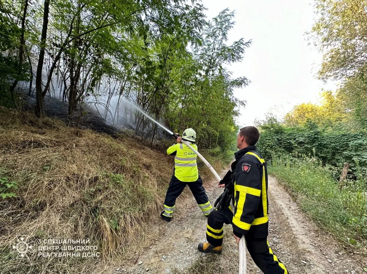 У Києві через збій не працюють валідатори в наземному транспорті