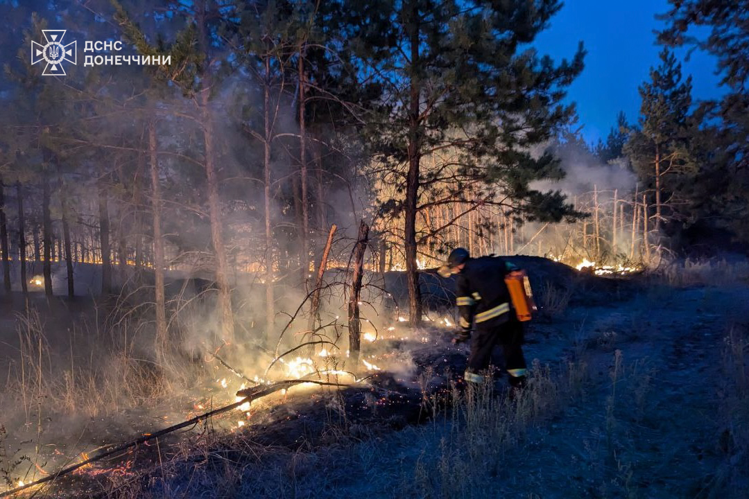 На Лиманщині пожежа охопила понад 240 га лісу