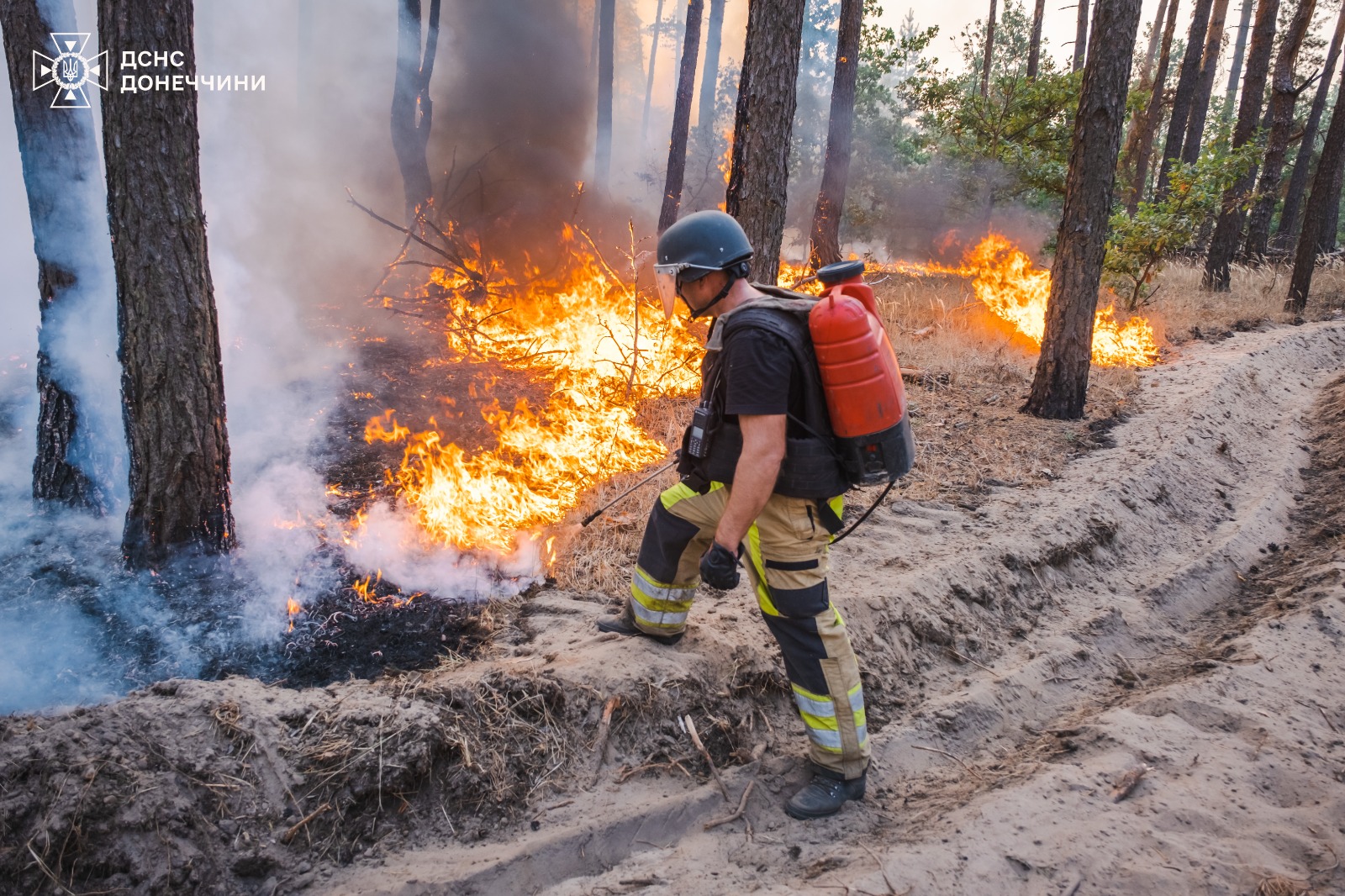 На Донеччині гинуть люди та ліси внаслідок пожеж, що спричинили обстріли