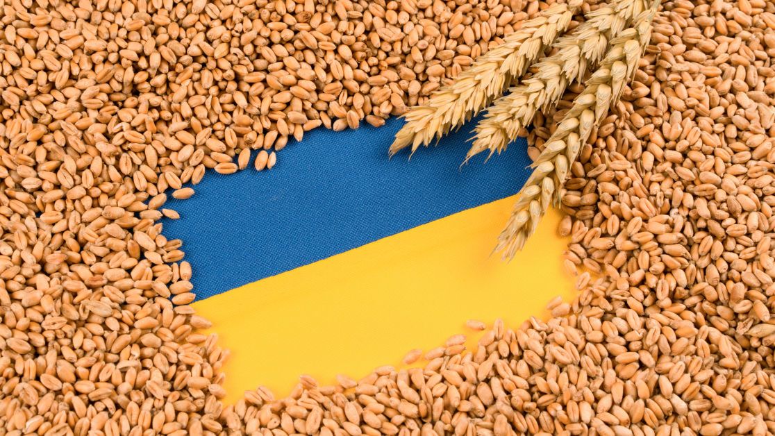 Британія розробила базу даних для відстеження українського зерна, що вкрала росія з ТОТ